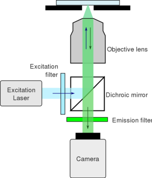 Fluorescence microscope.svg